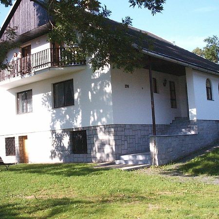 Ubytovani V Jesenikach - Bela Pod Pradedem Adolfovice Extérieur photo
